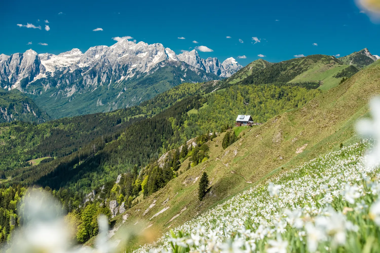 Planinska koča v gorah